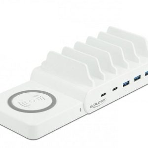 Delock Ladestation 41450 mit Wireless Charger